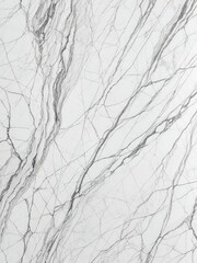 Fototapeta premium Close-up view of a white marble slab with intricate gray veining patterns