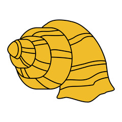 Sea shell cartoon. Tropical ocean exotic underwater seashell, vector icon