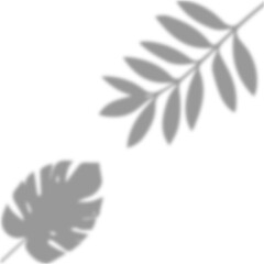 black and white flower