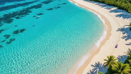 Aerial view of a tropical beach, clear turquoise water, white sand, palm trees