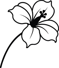 a hibiscus flower tilted downward with visible sta