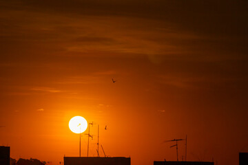 Brazilian Sunset
Very beautiful, the sunsets in brazilian savannah has many colors.