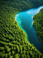 Aerial shot of pristine lake, surrounded by lush green evergreen forest