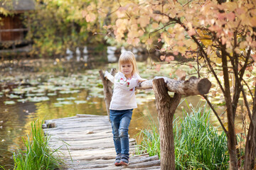 Child Enjoys a Peaceful Autumn Stroll Along a Rustic Bridge Beside a Serene Pond Surrounded by Colorful Fall Foliage in October