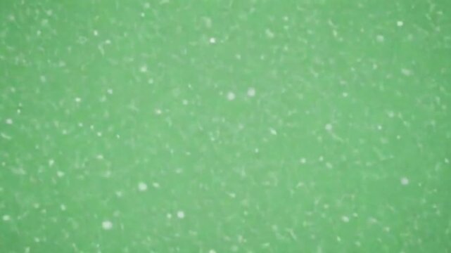 Emerald Rain: A serene emerald canvas is gently caressed by a delicate snowfall, each tiny flake suspended in silent descent.