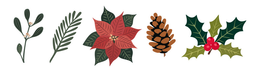Flat minimalist vector of Christmas elements, poinsettia flower, holly leaves and berries, pine cone, mistletoe, greenery isolated on transparent background in modern, clean, detailed style.