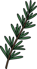 Fresh rosemary herb sprig culinary ingredient aromatic plant vector