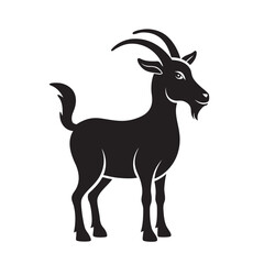 goat isolated on white background