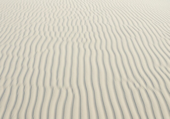 Obraz premium Textured sand dunes with repeating wavy patterns isolated on transparent background