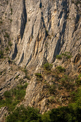 Earth Lines — Cliff Texture and Canyon Wall Patterns