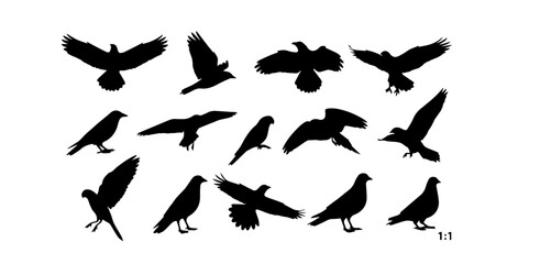 Collection of bird silhouettes in various poses including flying perching and standing against a white background perfect for design elements and avian studies