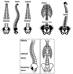 Logo and symbol icon set 
