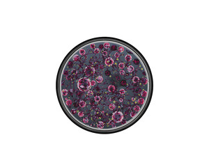 Colorful Microscopic Life, A Visually Striking Representation of Cellular Structures under the Microscope