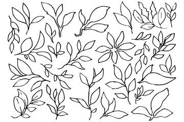 シンプルな葉っぱの線画のイラスト素材