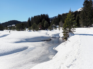 Lenzerheide, winter Landscape Images