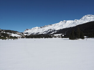 Lenzerheide, winter Landscape Images