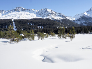 Lenzerheide, winter Landscape Images