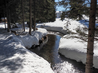 Lenzerheide, winter Landscape Images