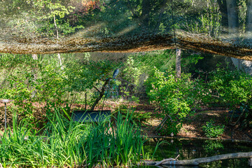 Obraz premium Seattle Zoo Bird Enclosure 4