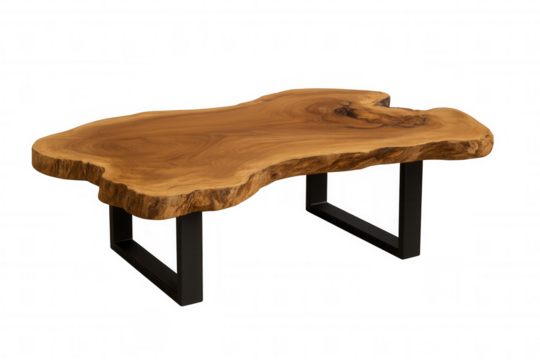 Live edge coffee table with natural wooden slab top and modern black metal legs, rustic furniture on transparent background