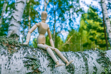 A wooden figure is sitting on a tree branch in a forest