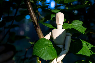 A wooden doll hides in the foliage, peeks out of the leaves