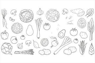 Vector art of hand drawn vegetables on a, creating a fresh and natural design
