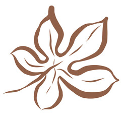 Line Art of Leaf Illustration. Hand-Drawn Doodle.