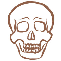 Line Art of Scull Illustration. Hand-Drawn Doodle.