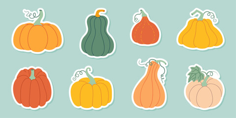 Pumpkin sticker set. Pumpkin and squash different colors and sizes. Hand drawn trendy flat style isolated. Thanksgiving, farm harvest. Vector illustration