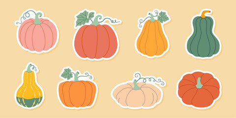 Pumpkin sticker set. Pumpkin and squash different colors and sizes. Hand drawn trendy flat style isolated. Thanksgiving, farm harvest. Vector illustration