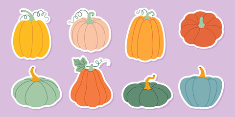 Pumpkin sticker set. Pumpkin and squash different colors and sizes. Hand drawn trendy flat style isolated. Thanksgiving, farm harvest. Vector illustration