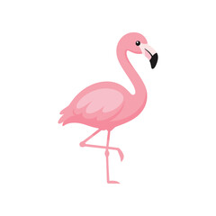 Obraz premium A vibrant pink flamingo standing gracefully on one leg against a minimalistic white background