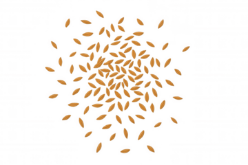 Scattered brown cereal grain seeds, healthy food for agriculture farming, natural ingredient, transparent background