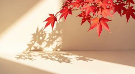 Red Maple Leaves With Sunlight Shadows On Wall autumn