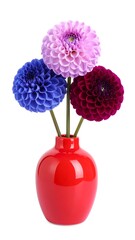 Three colorful dahlia blossoms in a red vase