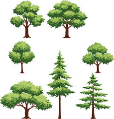 Tree illustration set, deciduous and coniferous trees, foliage diversity, botanical vector, nature clipart, forest elements, landscape design, tree pack © Hasib World