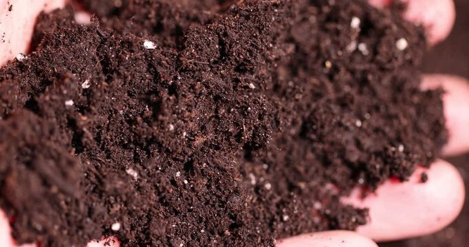 hold brown fertile soil for growing seedlings or use to improve the soil quality in the field, fertile soil mixed with white pieces of perlite