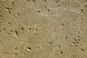 Brown Soil and Sand Texture Background. Natural earthy brown soil texture with small pebbles and grains. Great for agricultural or environmental backgrounds.