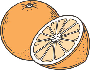 Orange fruit vector illustration, a whole citrus and a half slice in a line art and color style. Hand drawn doodle design of healthy food for a juice or summer theme graphic.