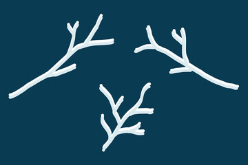 a set of winter blue decorative branches