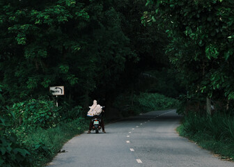 Naklejka premium Woman riding a bike