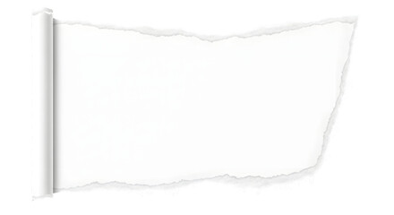 Obraz premium Torn white paper with a curled edge against a black background with a rough torn edge