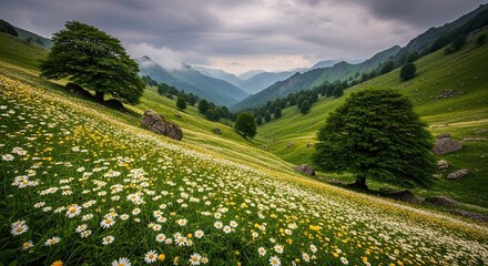 Verdant Mountain Valley Carpeted with Wildflowers Under a Cloudy Sky