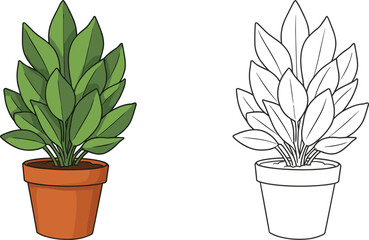 Potted succulent and cactus plants with leaves for home decoration and gardening