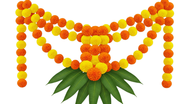 Marigold toran. Marigold. isolated on a white Background
