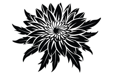 Black and White Illustration of a Detailed Chrysanthemum Flower with Intricate Petal Designs