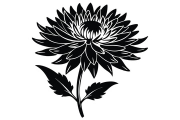 Elegant Black Silhouette Illustration of a Blooming Chrysanthemum Flower with Stem and Leaves