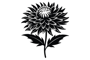 Silhouette Illustration Ornate Chrysanthemum Flower with Stem and Leaves Graphic Design Element