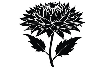 Stylized Black and White Illustration of a Chrysanthemum Flower with Stem and Leaves